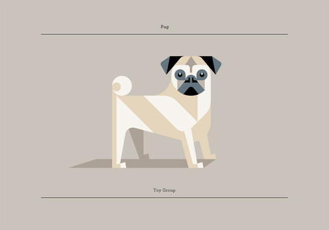 Dog Prints by Josh Brill Dog Prints by Josh Brill