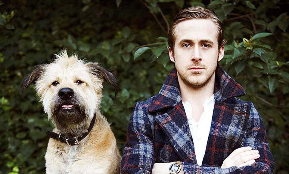 Ryan Gosling S Dog George Died Ryan Gosling S Dog George Died