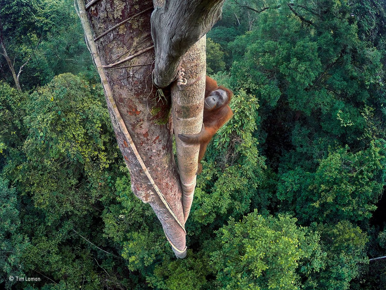 See The Winners From This Year’s Wildlife Photography Awards