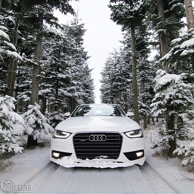 The Coolest Instagrams For Car Lovers