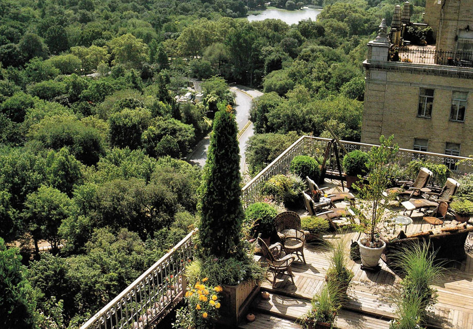 20+ Amazing Rooftops: Ideas & Inspirations