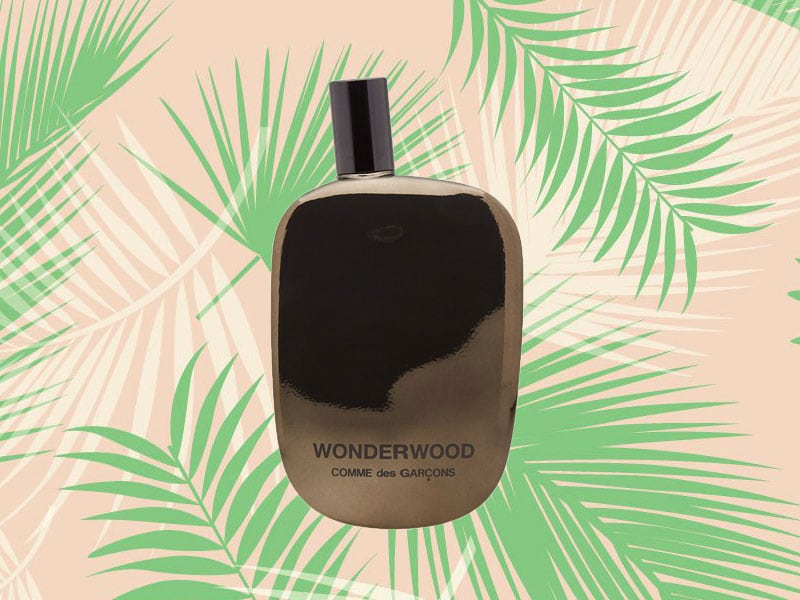 comme des garcons oud wood