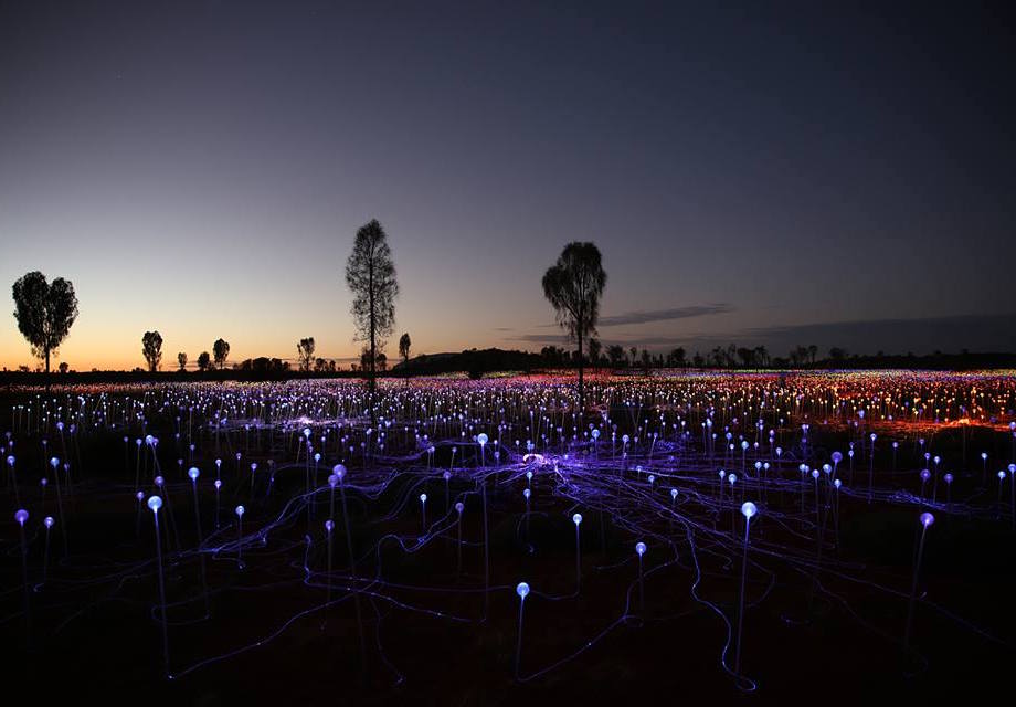 Uluru 39field Of Light39 Installation By Bruce Munro
