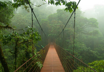 Wildest Tropical Rainforests In The World