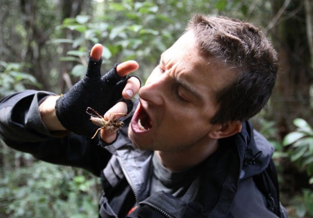 la-et-jc-man-vs-novel-bear-grylls-big-book-deal-20140430