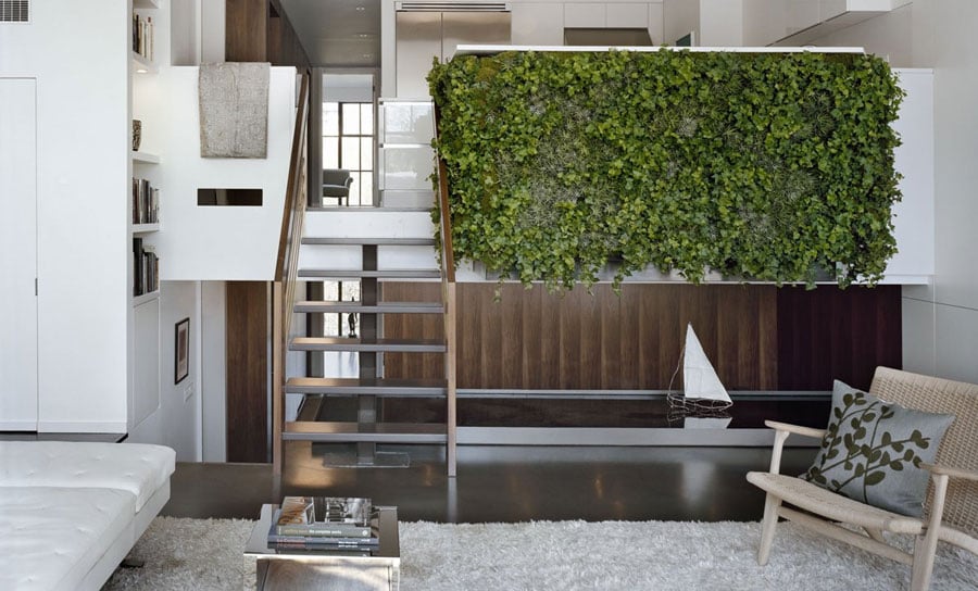 Vertical Gardens Is The Affordable Way To Transform Your Home