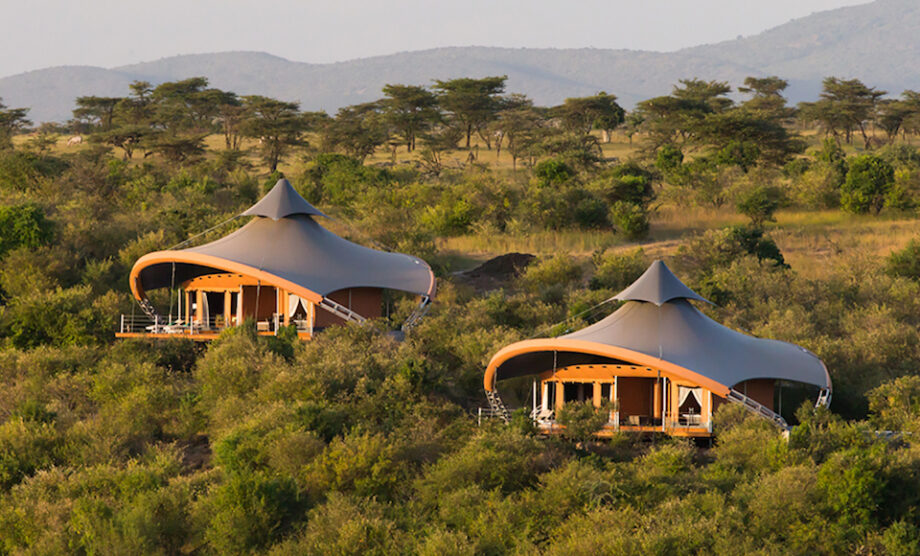 Luxurious Safaris