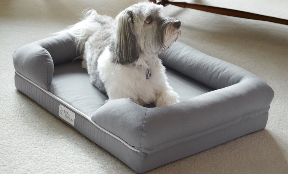 petfusion-ultimate-dog-bed-and-lounge-premium-edition-with-solid-memory-foam