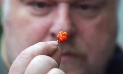 World's Hottest Chili