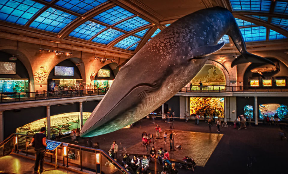 20 Most Popular Museums In The World