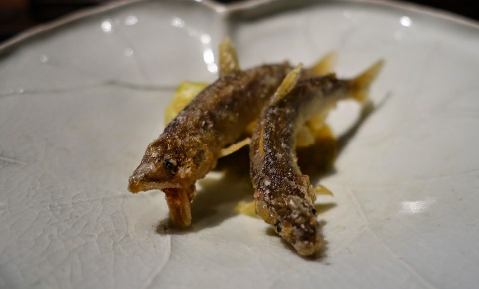 7 Fine Dining Restaurants In Tokyo That Will Blow Your Mind