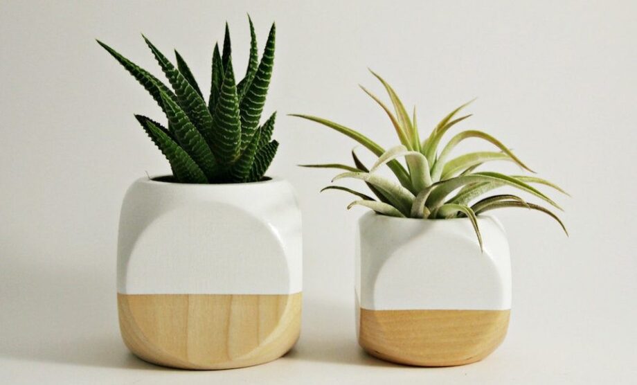 Cool Desktop & Office Accessories That Will Revitalize Your Workspace