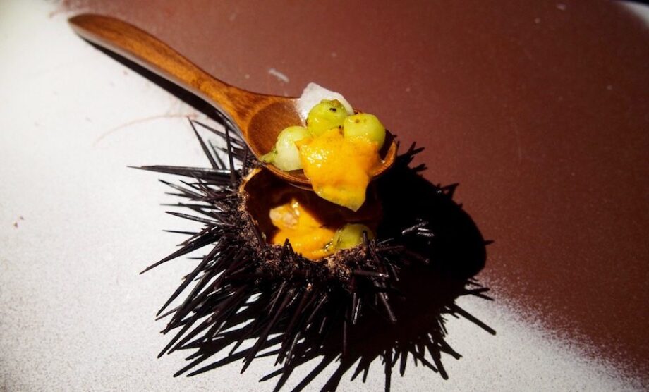 Hong Kong: Sea Urchin, Aged Cucumber, Uni Sorbet
