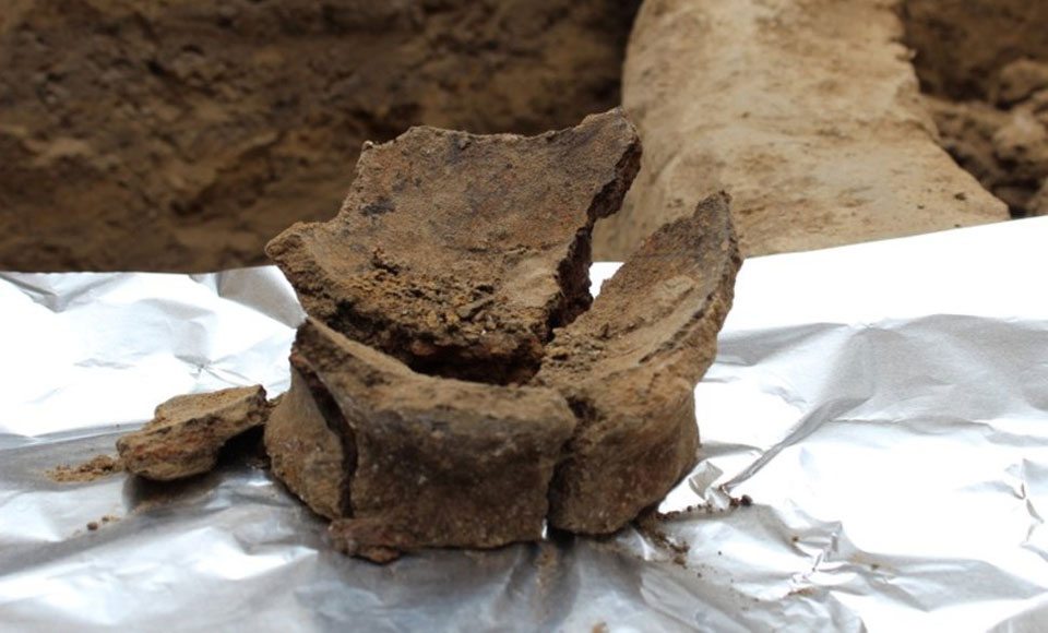 The World's Oldest Wine Has Just Been Unearthed