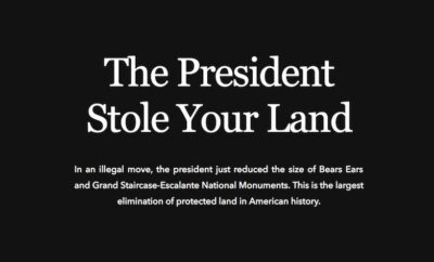 Patagonia Is Taking On The Trump Administration