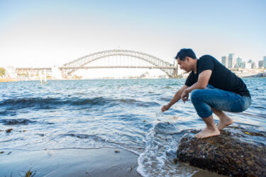 You'll Soon Be Able To Drink Water From Sydney Harbour…But Would You Really Want To?