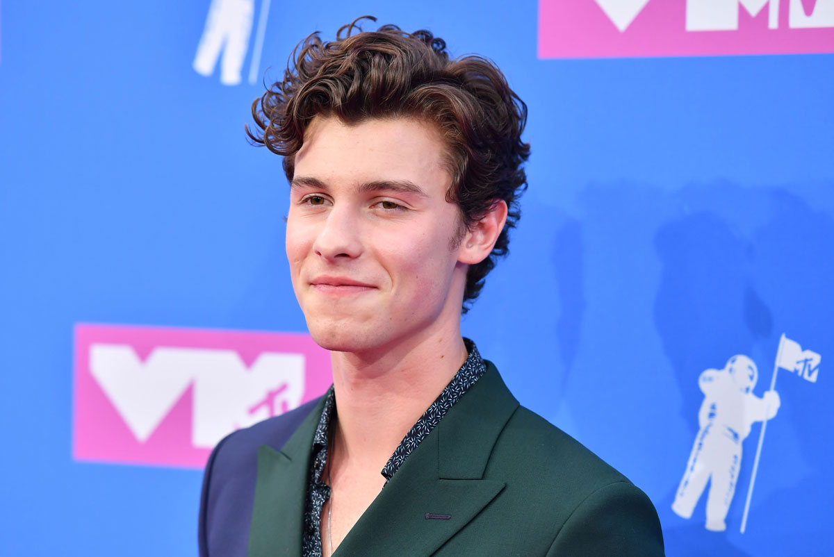 Shawn Mendes' Wild Two Toned Suit At The VMAs Broke The Oldest Rule Of Fashion