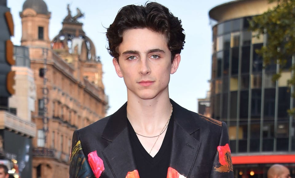 Timothee Chalamet Is Wearing The Suit You Should Never Wear To A Wedding