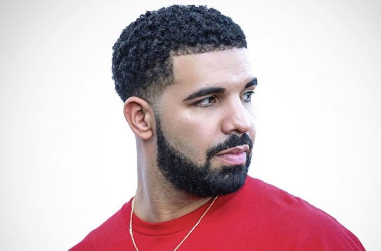 Drake Afro Beard