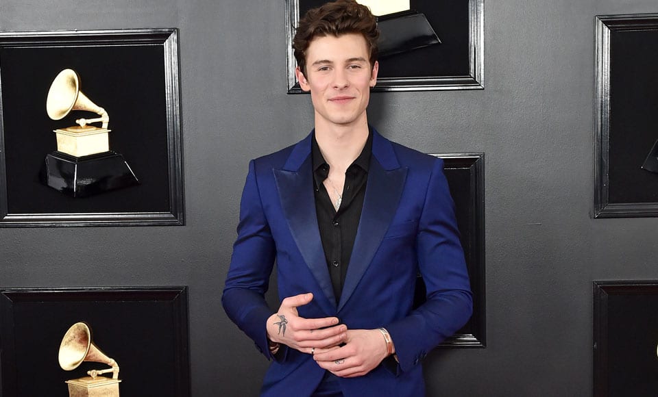Shawn Mendes Owns The Red Carpet By Wearing One Of The Hardest Tuxedo Colours
