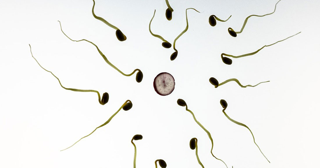 Men Have A Biological Clock According To Science