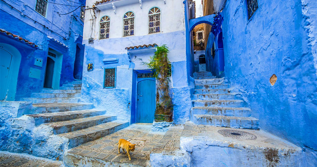 The Truth About Morocco's Fabled Blue City