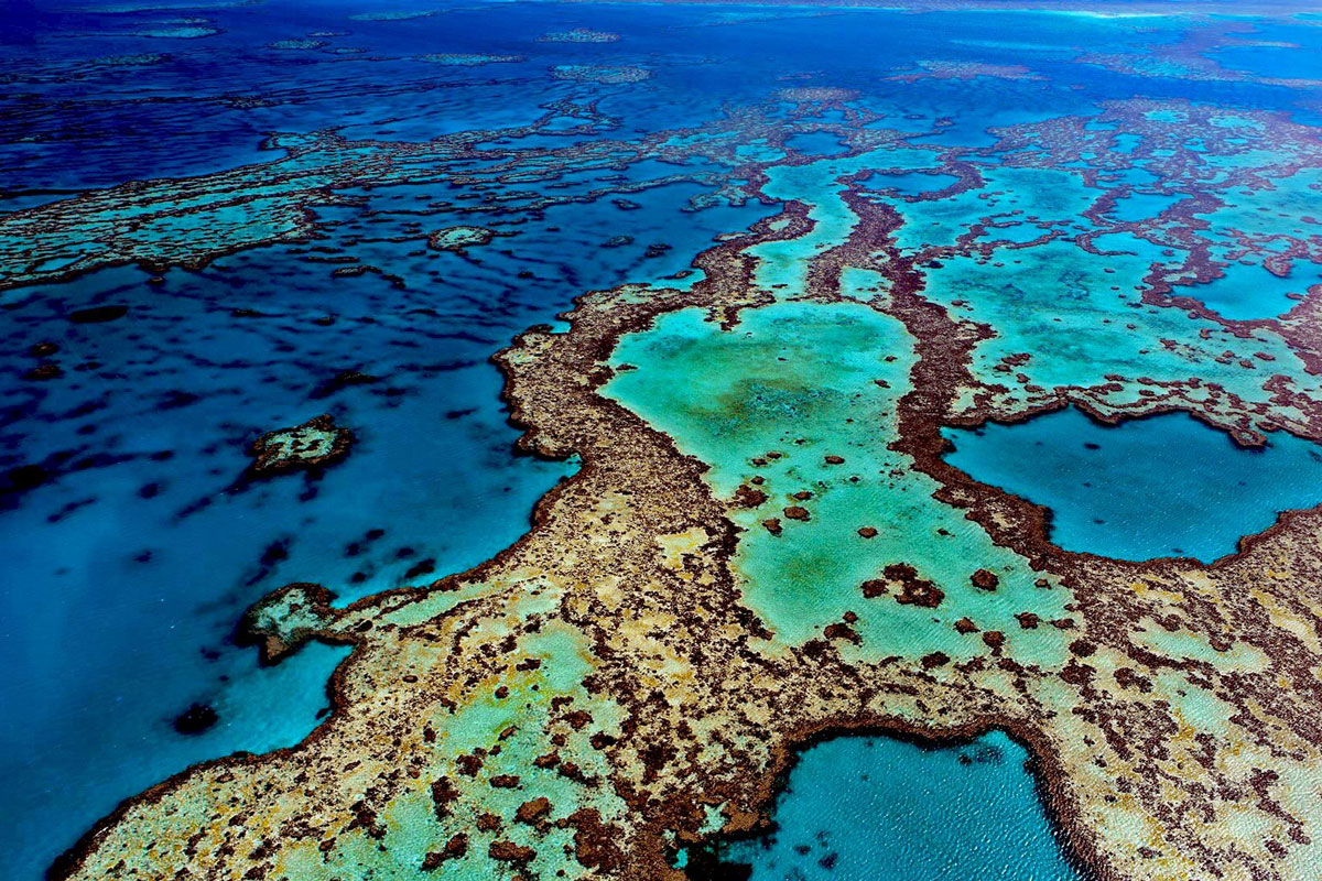 The Great Barrier Reef May Need More Tourism, Not Less