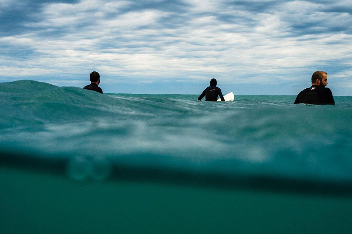 Bondi Shark Sighting Reveals What Happens When Surfers Try To Reclaim Their Beach