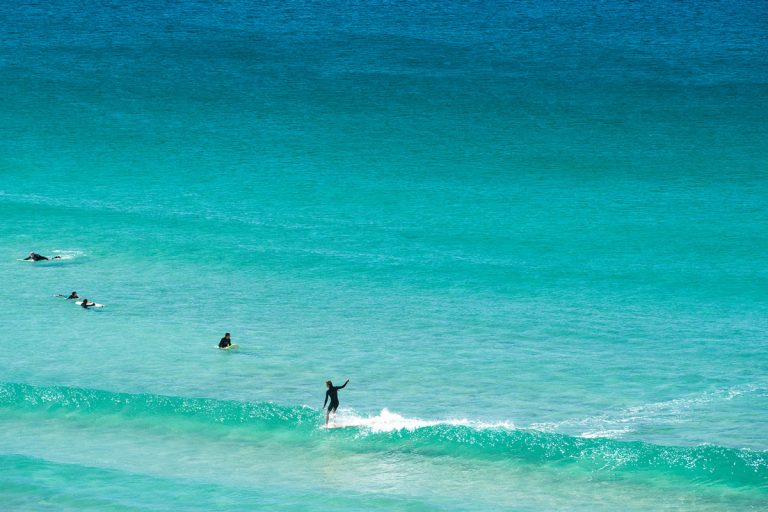 Drone Spots Great White Shark In Waters Off Famous Sydney Beach