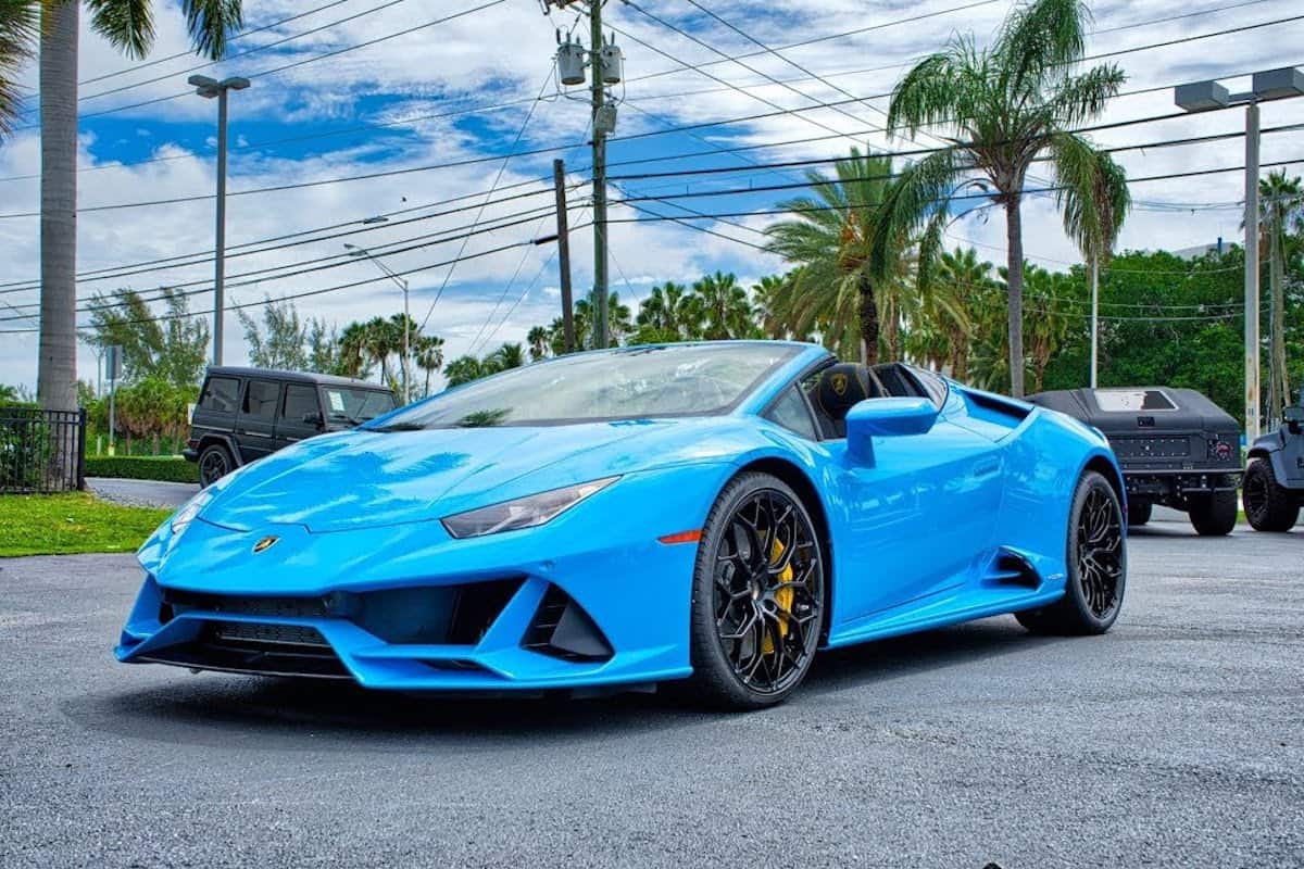 Florida Man's 'Supercar Splash' A Perfect Case Of How Not To Spend Welfare Payment