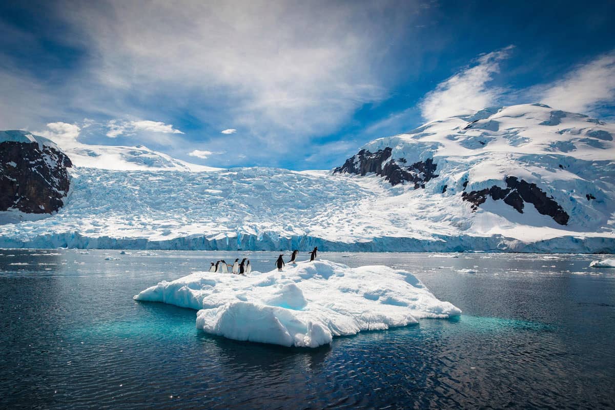 Antarctica Sightseeing Flights: The Cold Truth
