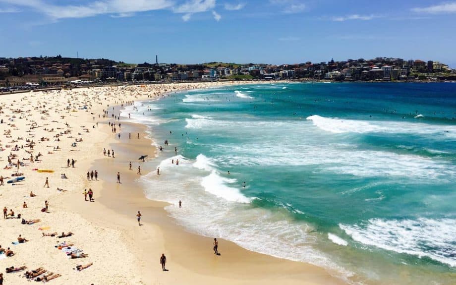 The 15 Best Surf Spots & Surf Beaches In Sydney