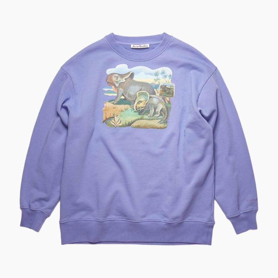 gildan sweatshirt womens