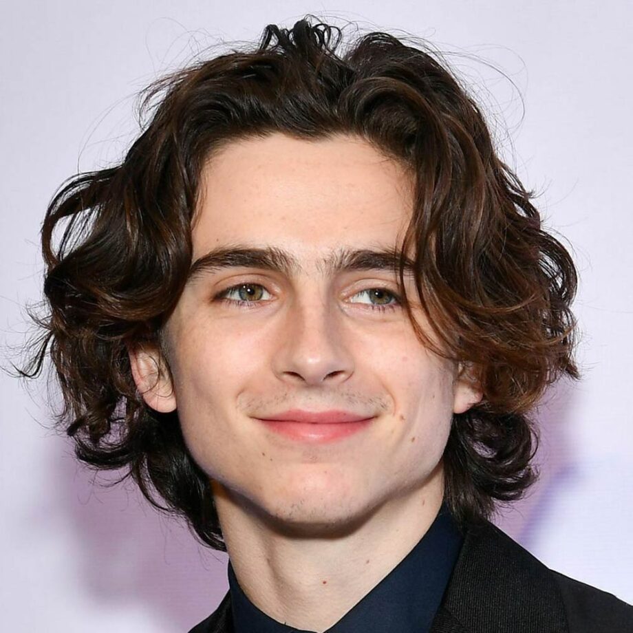 Timothee Chalamet with curly curtains hairstyle.