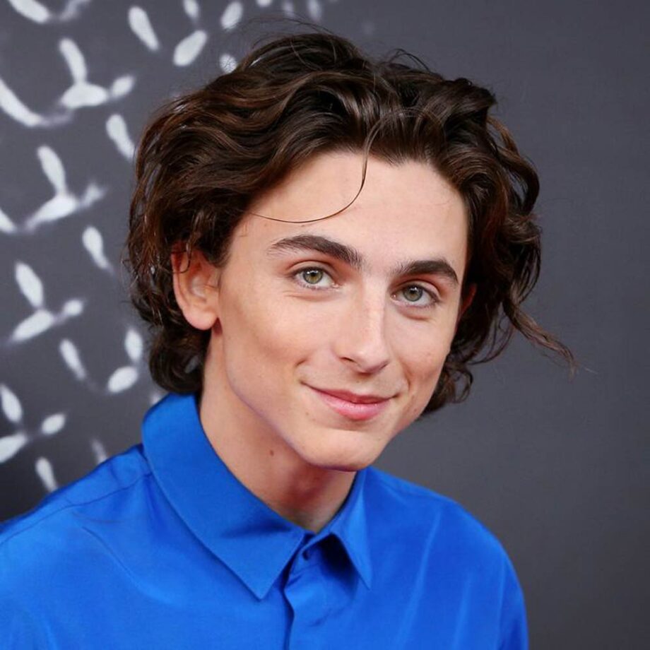 Timothee Chalamet with eBoy-style curtains haircut.