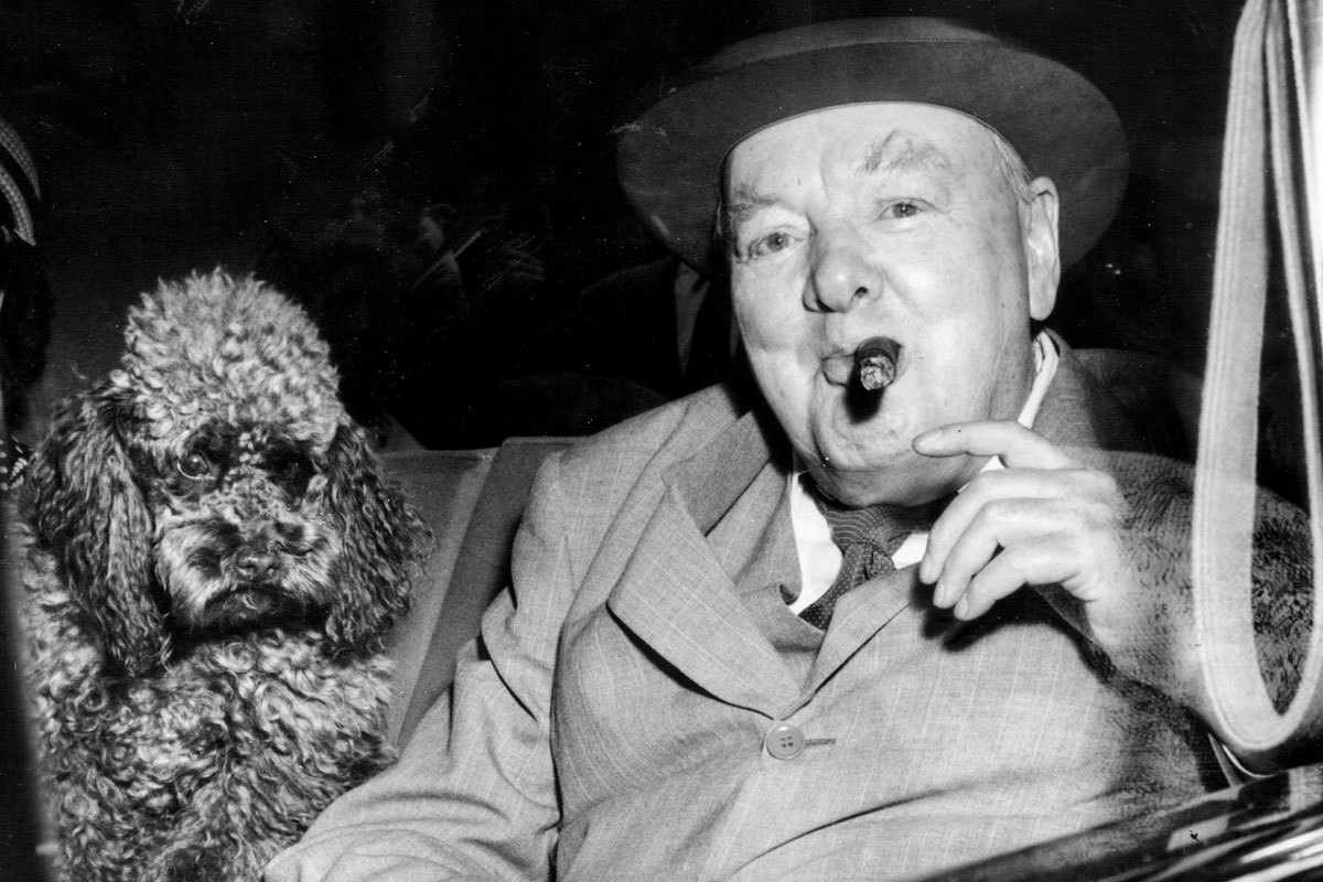 The 'Savage' Winston Churchill Nutrition Tip Every Man Needs To Hear
