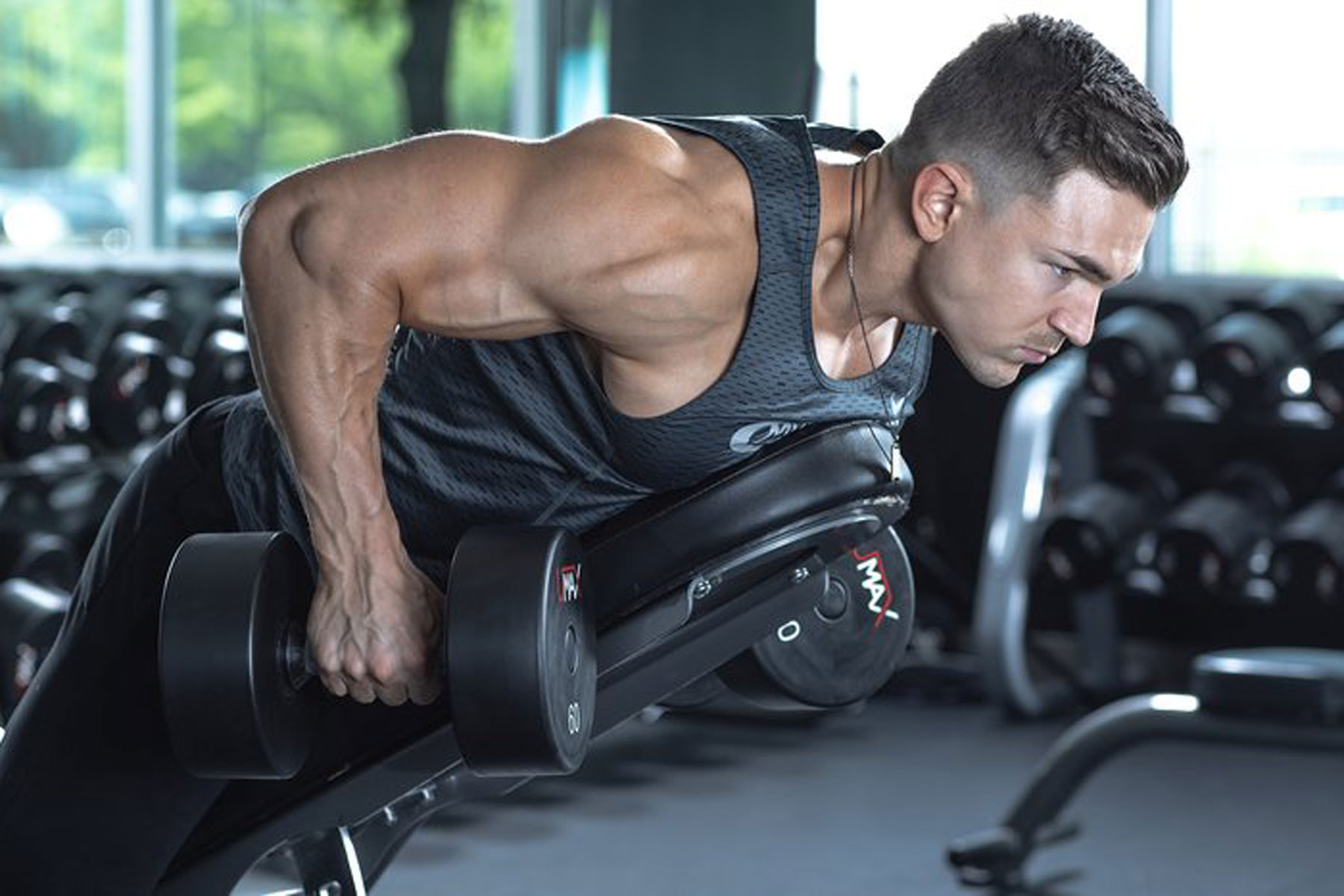 back workouts with dumbbells
