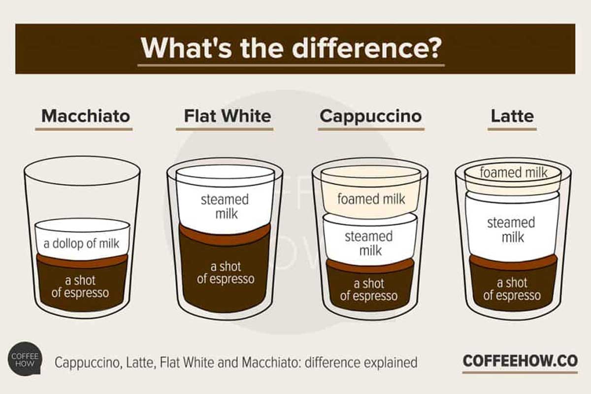Infographic showing the differences in espresso to milk ratios between a macchiato, flat white, cappuccino and a latte