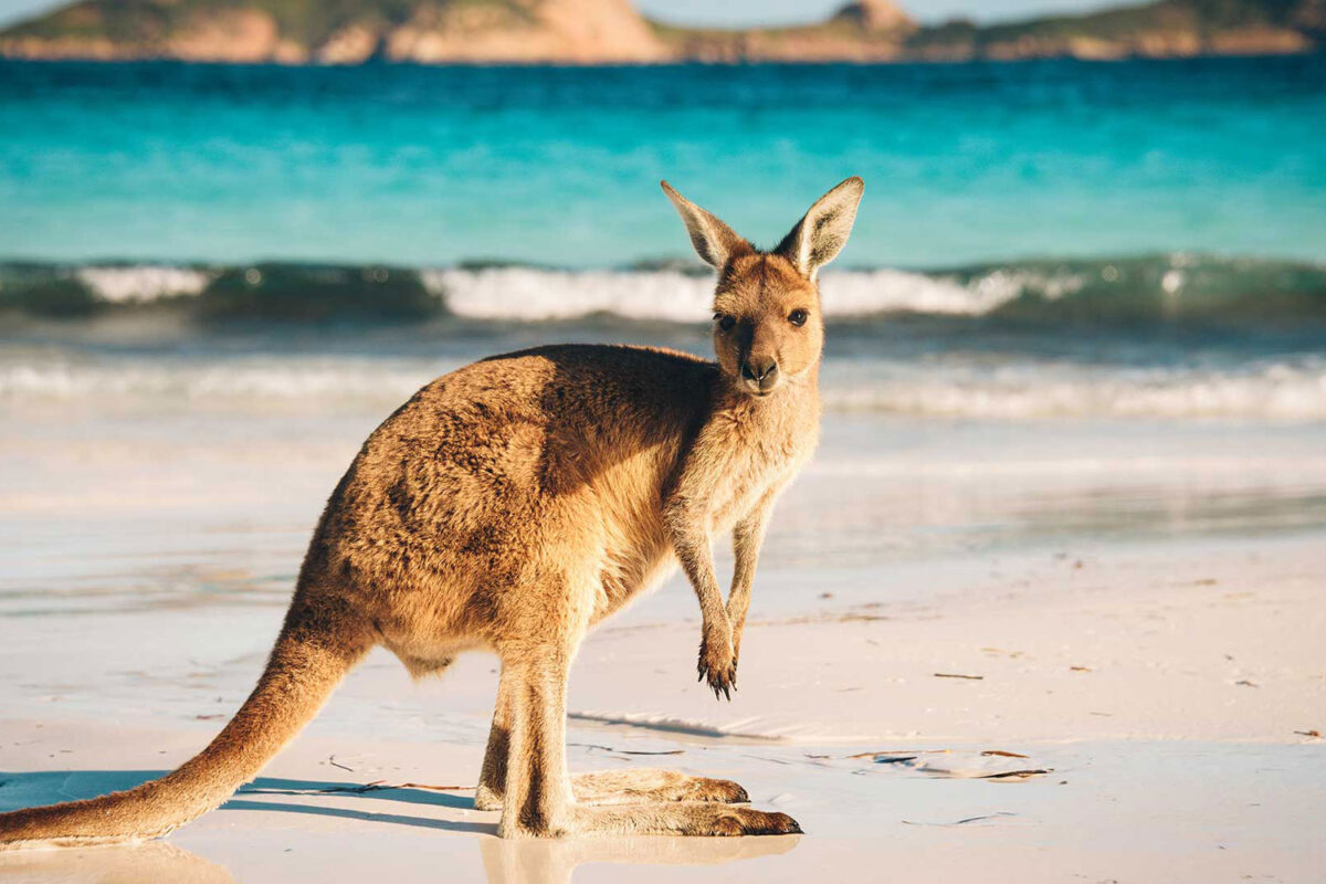 Australia Bounds One Step Closer To ‘Normal’ International Travel