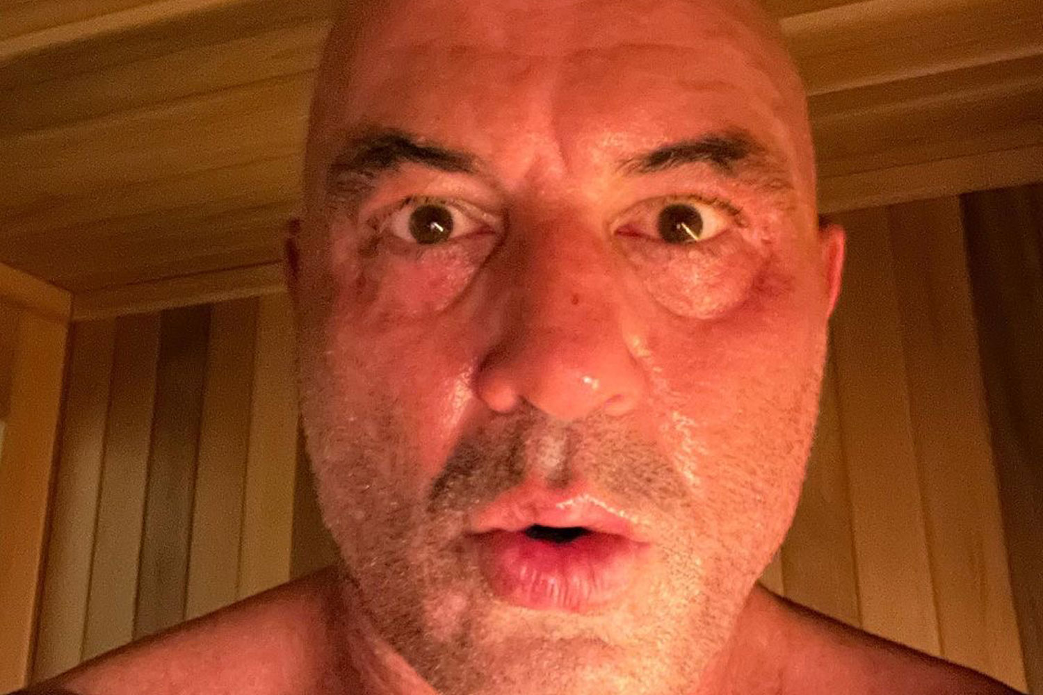‘Wild’ Joe Rogan Workout Has Some Fans Worried For His Health