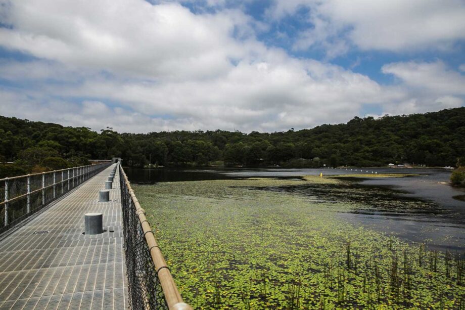 Fishing In Sydney 8 Best Sydney Fishing Spots 2023