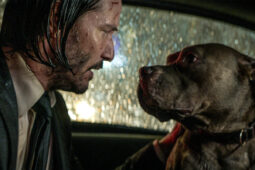 If This Theory Is True, John Wick 4 Will Be An Extremely Depressing Film