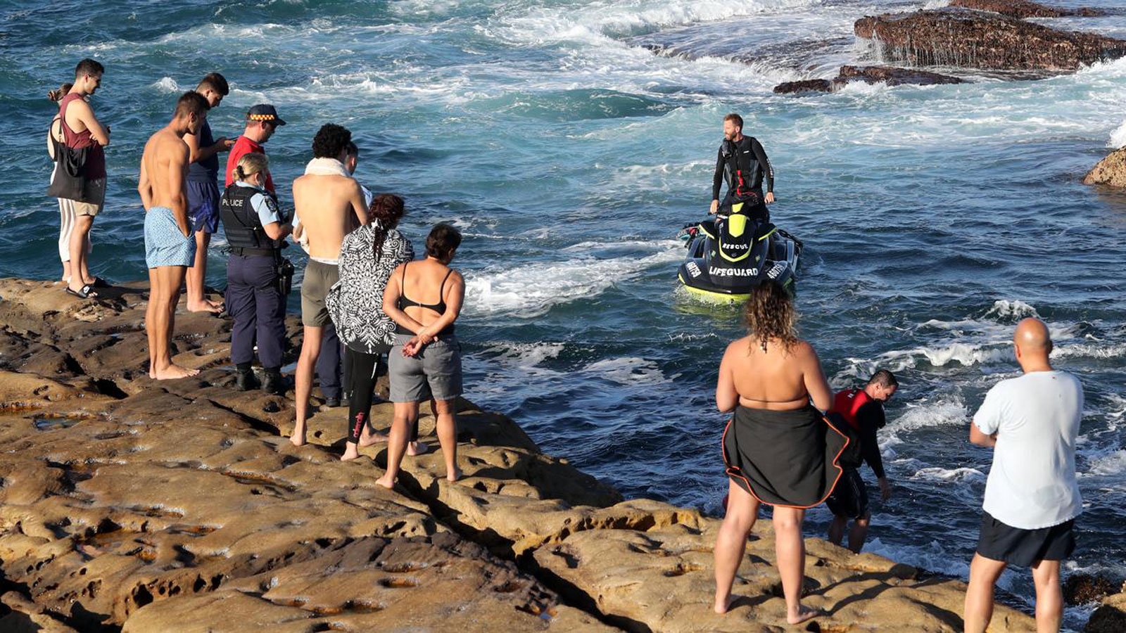 Fatal Sydney Shark Attack Reignites Polarising ‘Culling’ Conversations