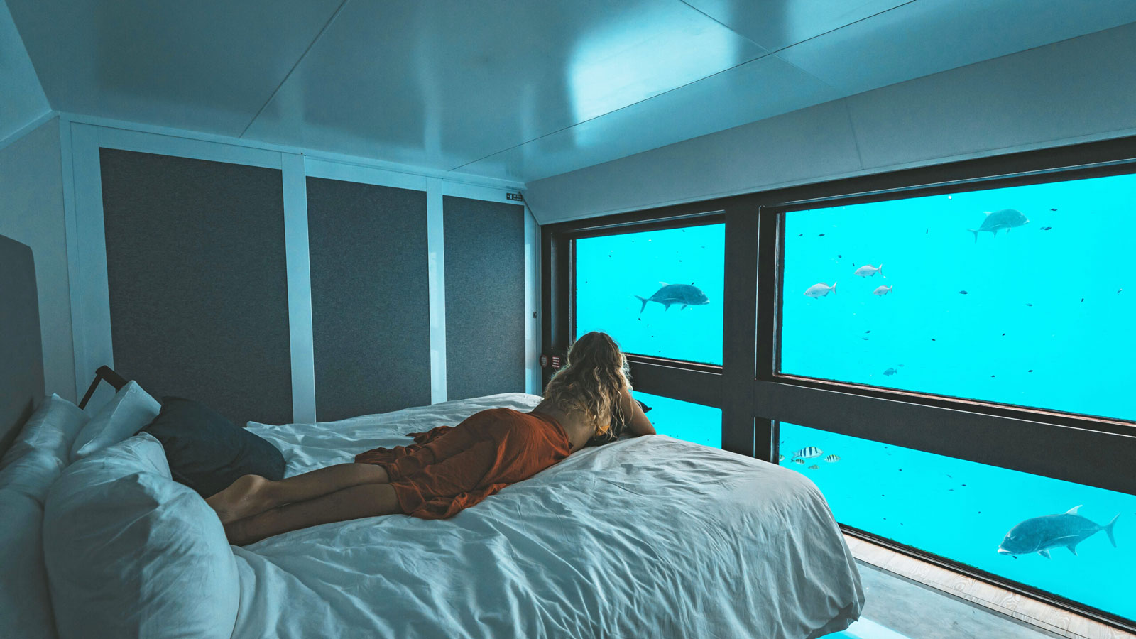 Australia’s First Underwater Hotel Provides Tourists With A Moral Dilemma