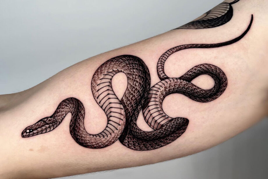 Huge Coral Snake Rockabilly Tattoo Style Snake Iron On  Amazonin Home   Kitchen
