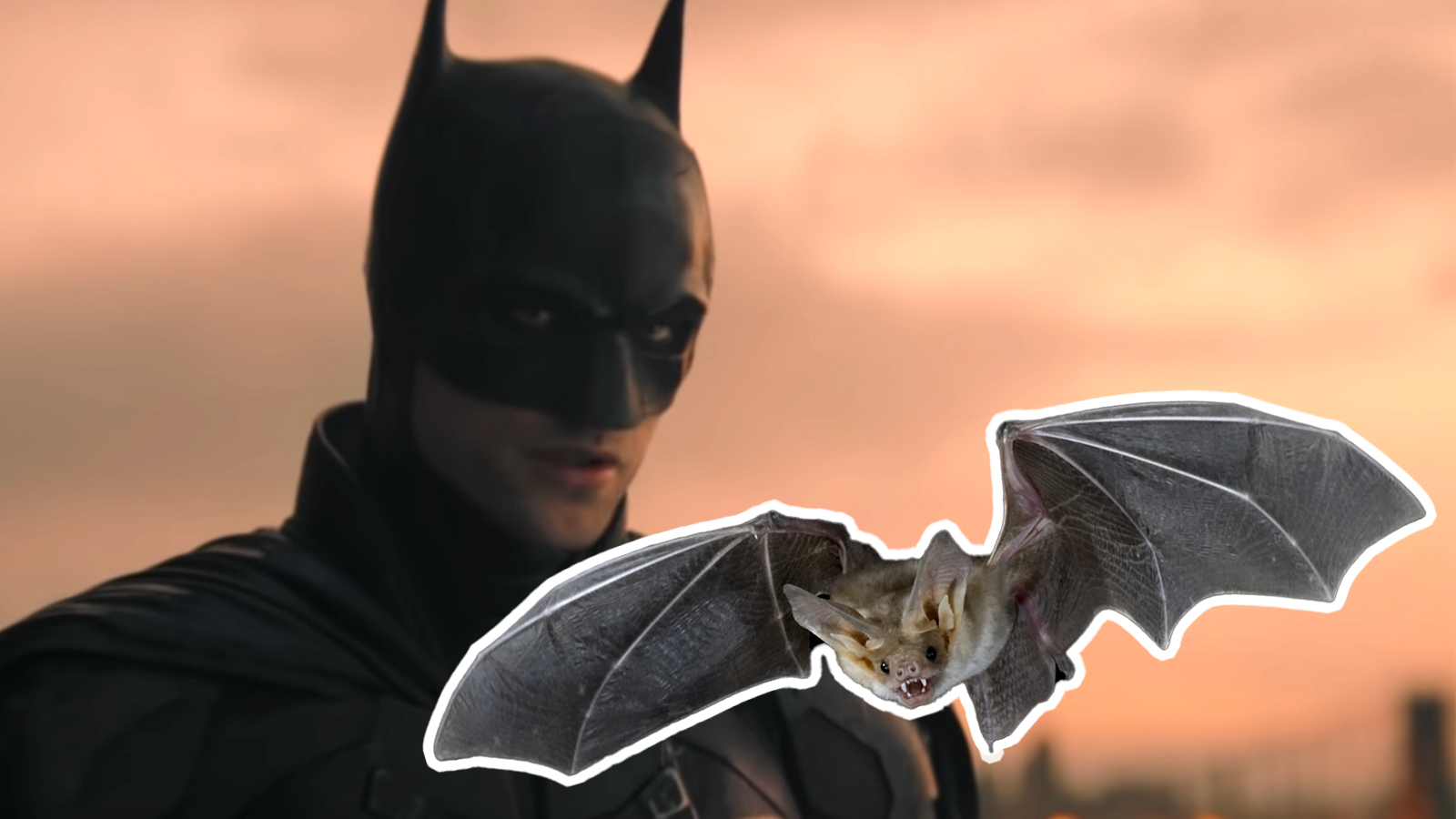 Some ‘Joker’ Just Released A Live Bat During The Batman Screening