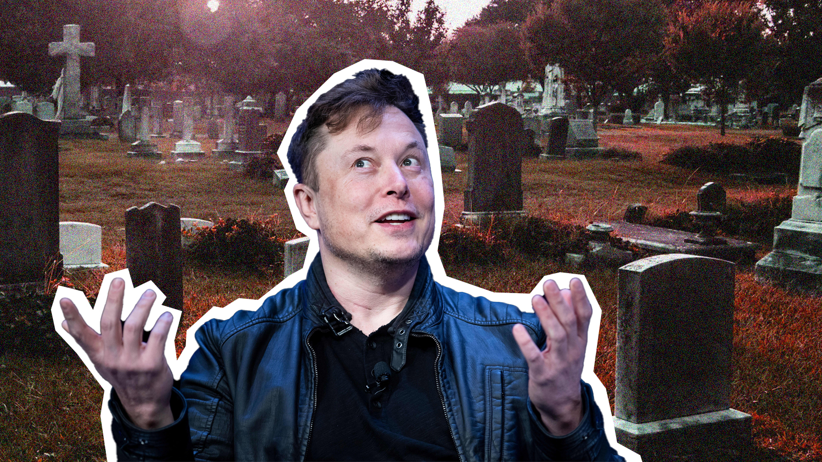 Elon Musk Wants Everyone In The World To Die