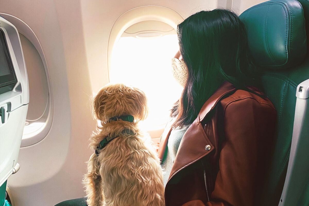 Australian Aviation Law Sparks ‘Furry’ Over Animals Flying With Their Owners