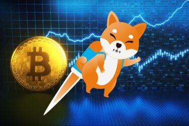 Will Shiba Inu Recover When Bitcoin Recovers?