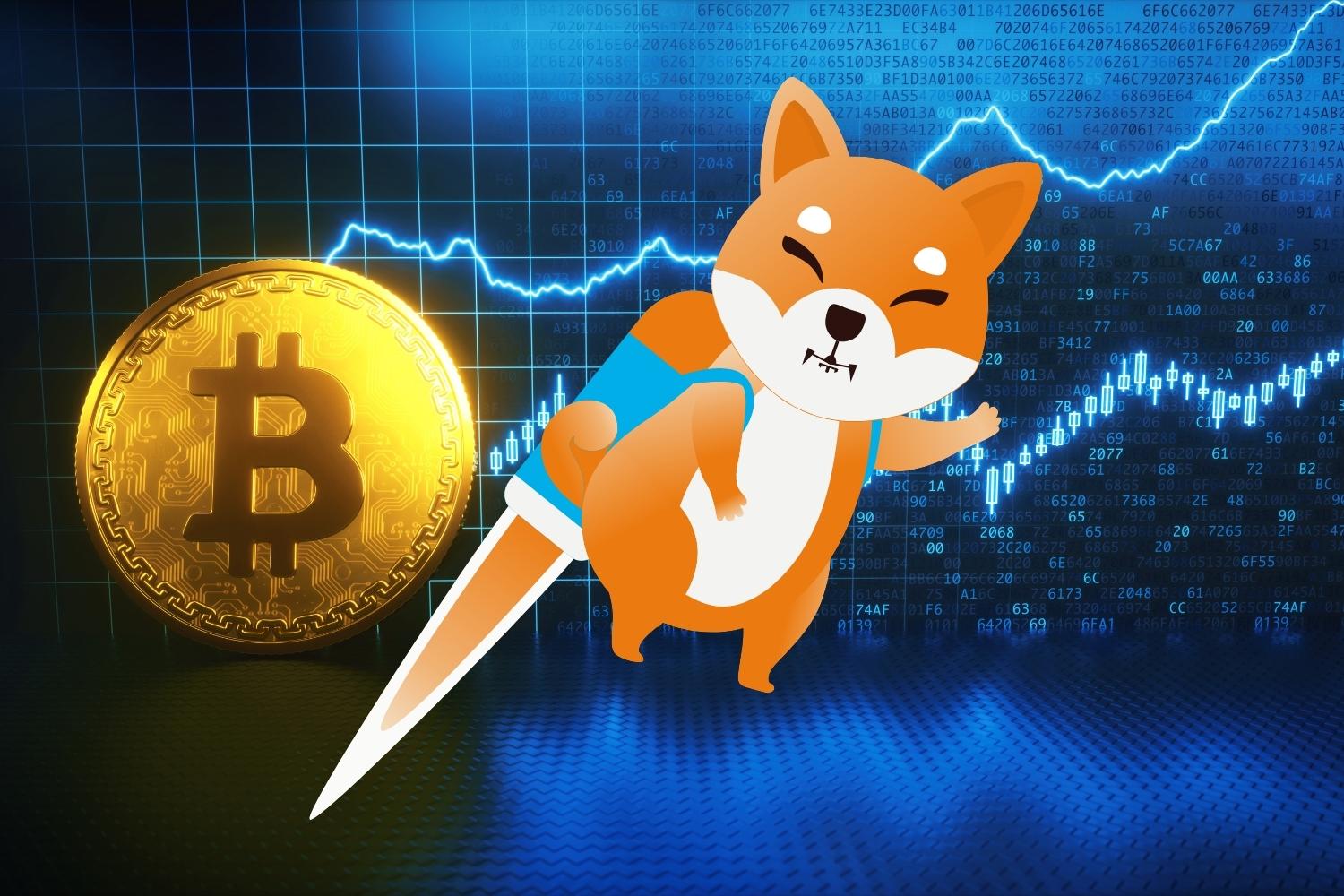 Will Shiba Inu Recover When Bitcoin Recovers?